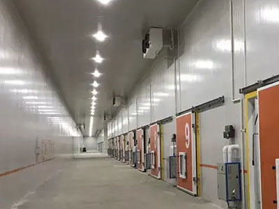 8000平方冷鏈物流大型冷庫安裝造價影響因素有哪些？