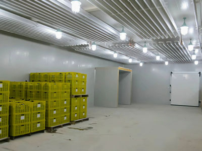 果蔬氣調(diào)保鮮冷庫作用，果蔬氣調(diào)冷庫有哪些優(yōu)點？