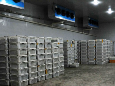 果蔬冷庫如何調(diào)節(jié)相對濕度？ 