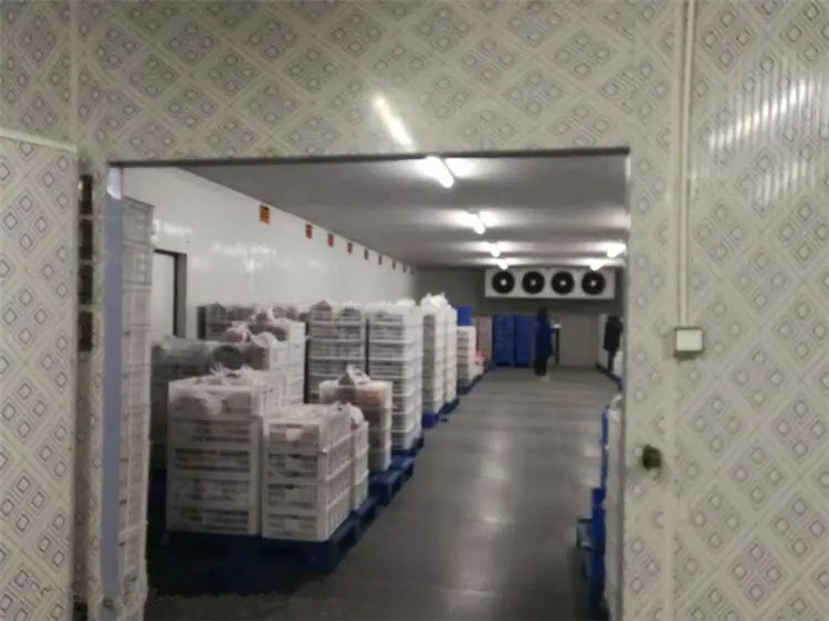 圖為恒雅工程建造的冷庫(kù)