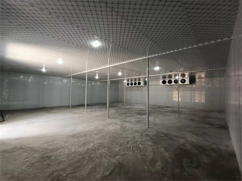 2.jpg 2.jpg